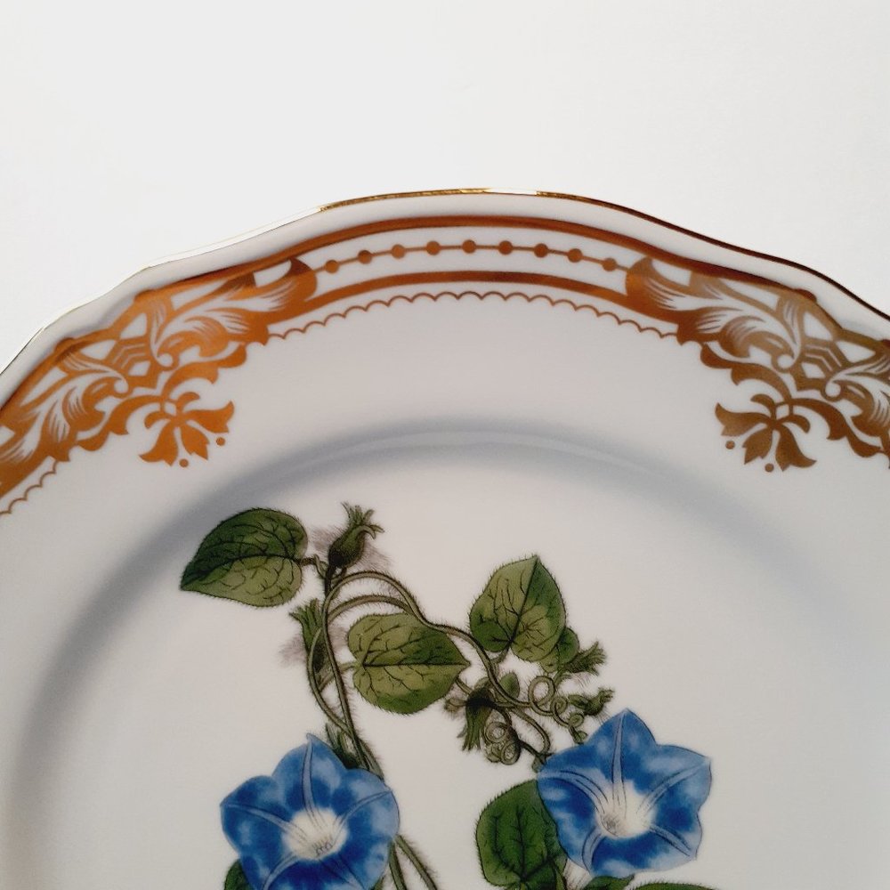 Andrea by Sadek, Golden Botanical by Robert Sweet 1824 London Plate 10 1/2"- - Picture 3 of 8